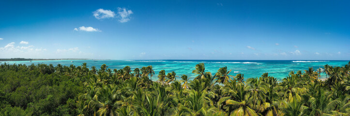 Fototapeta premium Wild tropical beach with coconut palm trees and turquoise caribbean sea. travel destination. Aerial view. Long banner