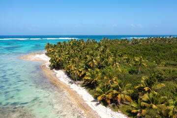 Fototapeta na wymiar Bounty and prestine tropical beach with coconut palm trees and azure caribbean sea. Beautiful landscape. Aerial view