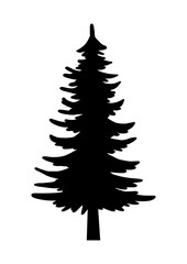  Fir tree, Tree, nature, Christmas tree, Tree shape, Pine Tree
