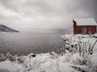 Abandoned red boat house in Tromsø on winter landscape with the sea, mountains, snow, bushes, grey sky