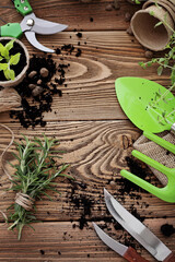 planting tools on rustic wooden background