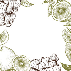 Lemon slices and ginger roots frame. Hand drawn vector illustration on white.