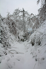 winter in the old hollow way great Egge near the Extern stones
