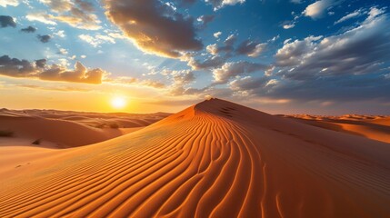 beautiful desert in a beautiful sunset in high definition and quality