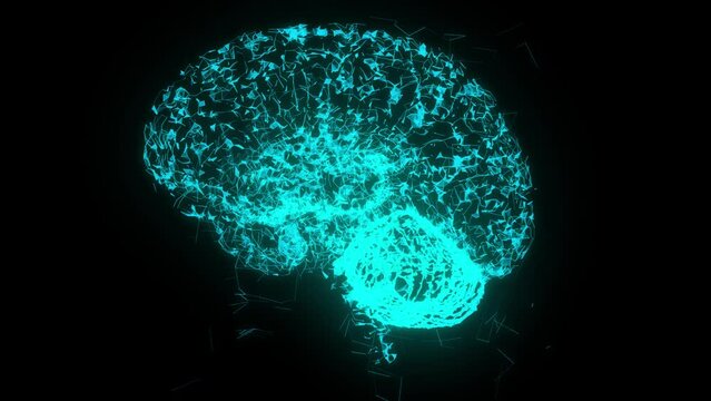Futuristic glowing polygonal digram of the human brain in the form of connected lines. Artificial intelligence concept on black background. Wire-frame moving looped seamless animation. 4k footage