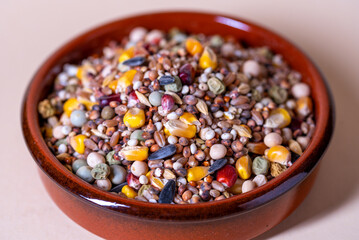 Assorted bird seed, feed for racing pigeons