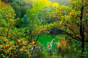 Colorful scene from Lago di Boccafornace in Pievebovigliana, Valfornace (Macerata), rich thriving foliage in green and brown colours from trunks and branches in the foreground, lake in the background