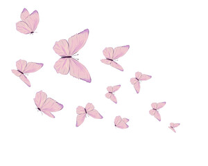 pink flowers and butterflies