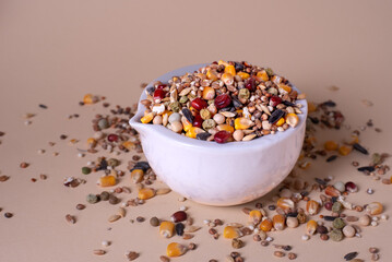 Assorted bird seed, feed for racing pigeons