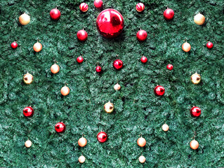 Christmas decoration balls, view on pine tree branch with Christmas lights and red baubles