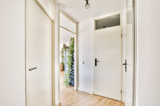 Bright and modern home hallway with open doors