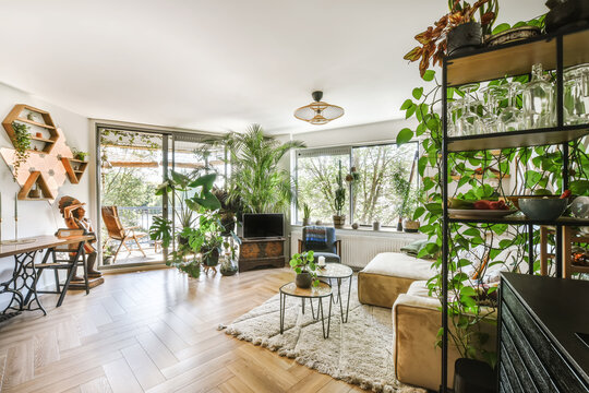 Bright and Plant-Filled Living Room Interior