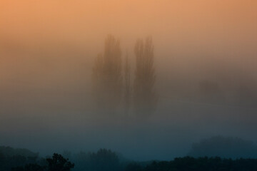 The mysterious allure of nature is captured in this image, where trees shrouded in dense fog present a ghostly appearance against a gradient orange sky at twilight
