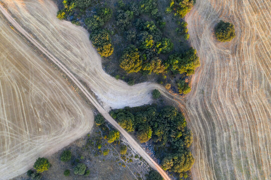 From above shot capturing the intricate patterns of ploughed fields interspersed with natural vegetation, resembling an abstract painting with rich textures and earth tones
