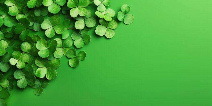 Fresh 4-leaf clover leaves or shamrock on green background. Top view with copy space