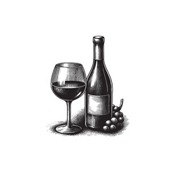 Hand Drawn Illustration of a Wine Bottle & Grapes