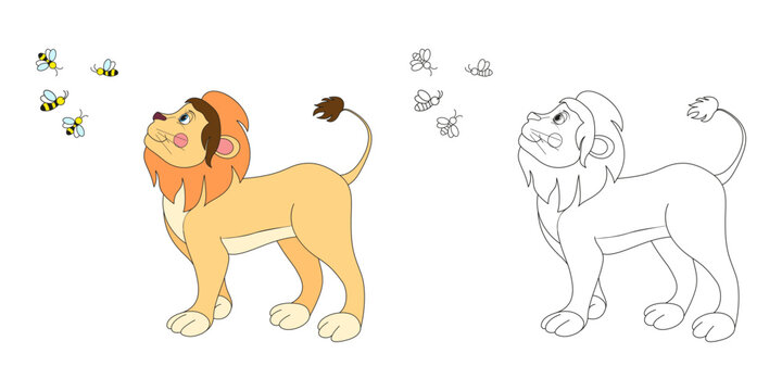 Lion line and color illustration. Cartoon vector illustration for coloring book.