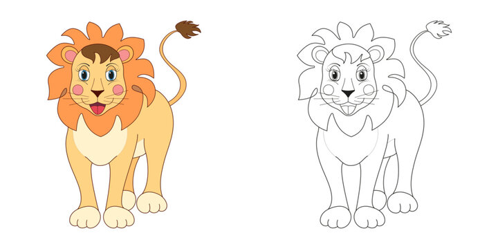 Lion illustration line and color. Cartoon vector illustration for coloring book or page.
