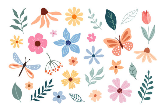 Spring and summer flowers, butterfly, dragonfly, leaves, plants. Vector doodle illustration
