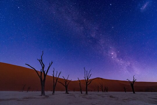 Starry sky with Milky Way over Deadvlei, Sossusvlei, Namib Desert, Namibia, Africa