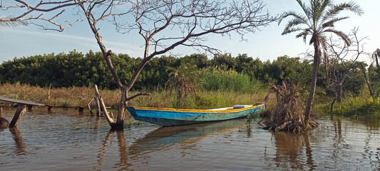 Gambia, wakacje, relaks, odpoczynek, kajakiem przez namorzyny, rzeka 