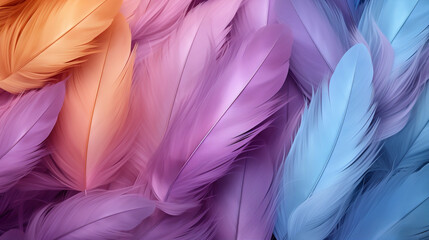 Multicolored feathers as a background. Texture. Close-up.