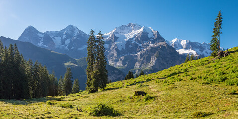 The Bernese alps with the Jungfrau, Monch and Eiger peaks over the alps meadows.