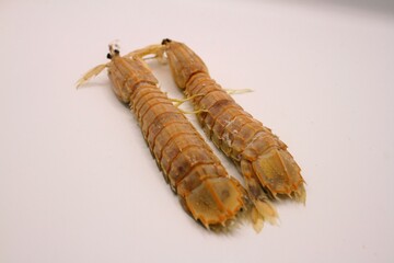 Fresh mantis shrimp on a white background, closeup of photo