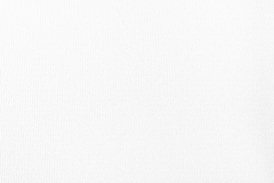 White canvas texture background.
