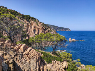Blue water, beautiful cliffs and pine trees mediterranean landscape near Cala Marquesa sea cove, Costa Brava, Catalonia, Spain