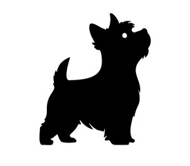Yorkshire Terrier standing, black and white dog, silhouette