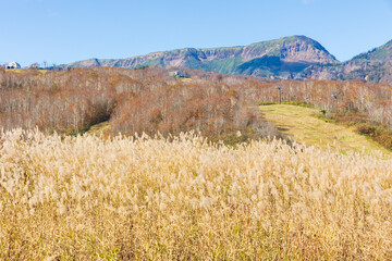 日本の風景　新潟県湯沢町　紅葉の田代高原・田代湖
