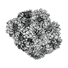 Hand drawn dahlia night silence flowers. Vector floral illustration