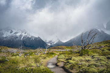 a hiking trail to the mountain landscape with clouds and a tree with bare branches