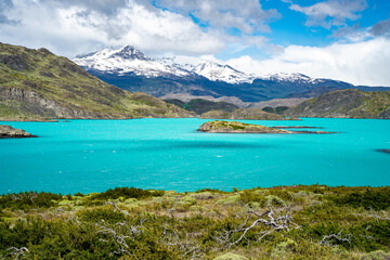 blue lake and snow mountains with trees and plants at the front