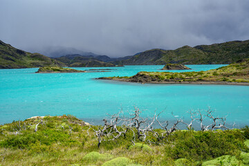 blue lake and misty mountains with trees and plants at the front
