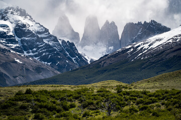 Fototapeta premium las torres and snow mountains with foggy sky, trees and plant at the front