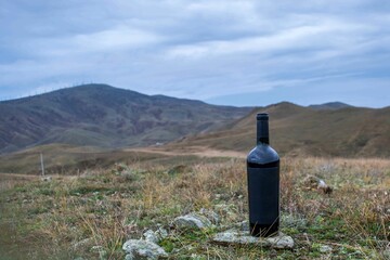 Bottle of wine in the mountains - 711939872
