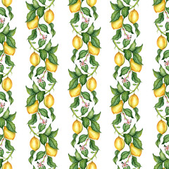 Watercolor illustration of a pattern of vertical lines of yellow lemons with green leaves. Isolated on a white background. Compositions for weddings, posters, cards, banners, flyers, covers, placards