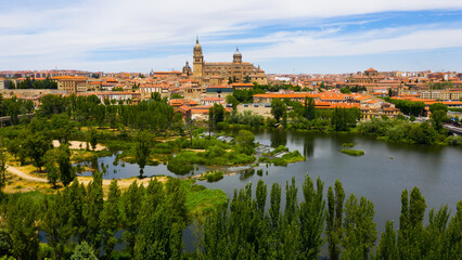 Fototapeta na wymiar Image of Salamanca Cathedral view from the river, Spain