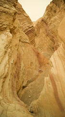 red rock canyon in desert