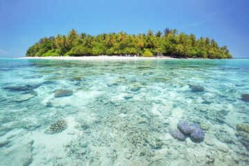 Coral reef and tropical island in the Maldives