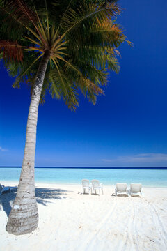 Lounge chairs on a tropical beach in the Maldives
