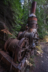 Old Steam Donkey Machine in Idaho