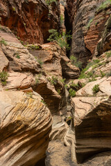 Tall Walls of Echo Canyon with Winding Slot