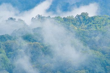 Natural Scene Of White Clouds Descending Upon The Mountainous Forest, Captured From Wanagiri Peak, Buleleng, Bali