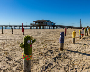 Bollard Buddies at Horace Caldwell Pier, Magee Beach Park, Port Aransas, Texas, USA