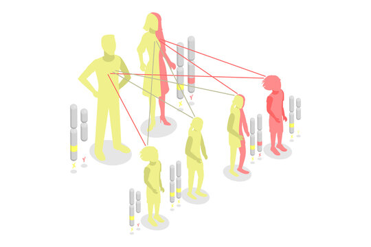 3D Isometric Flat  Conceptual Illustration of Autosomal Recessive Inheritance, Dominant and Recessive Genes