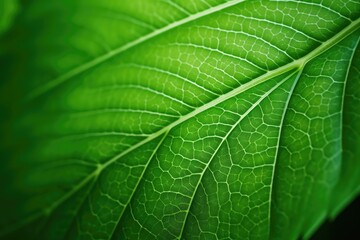 Obraz premium Macro of green leaves Generated by AI