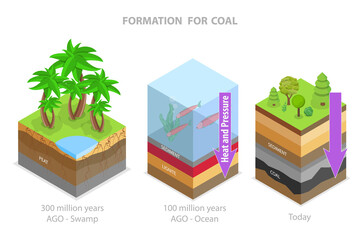 3D Isometric Flat  Conceptual Illustration of Coal Formation, Educational Diagram